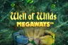 Well of Wilds MegaWays